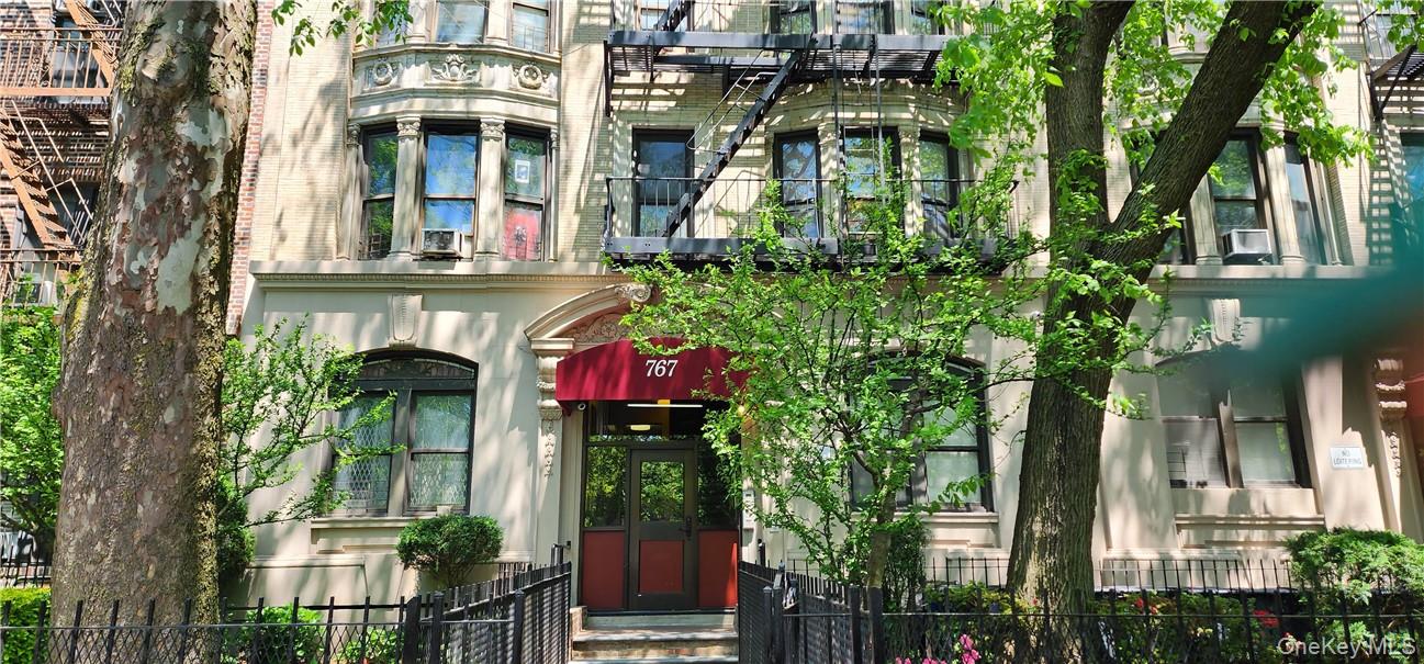 767 Eastern Parkway E Unit 1B, Brooklyn NY 11213