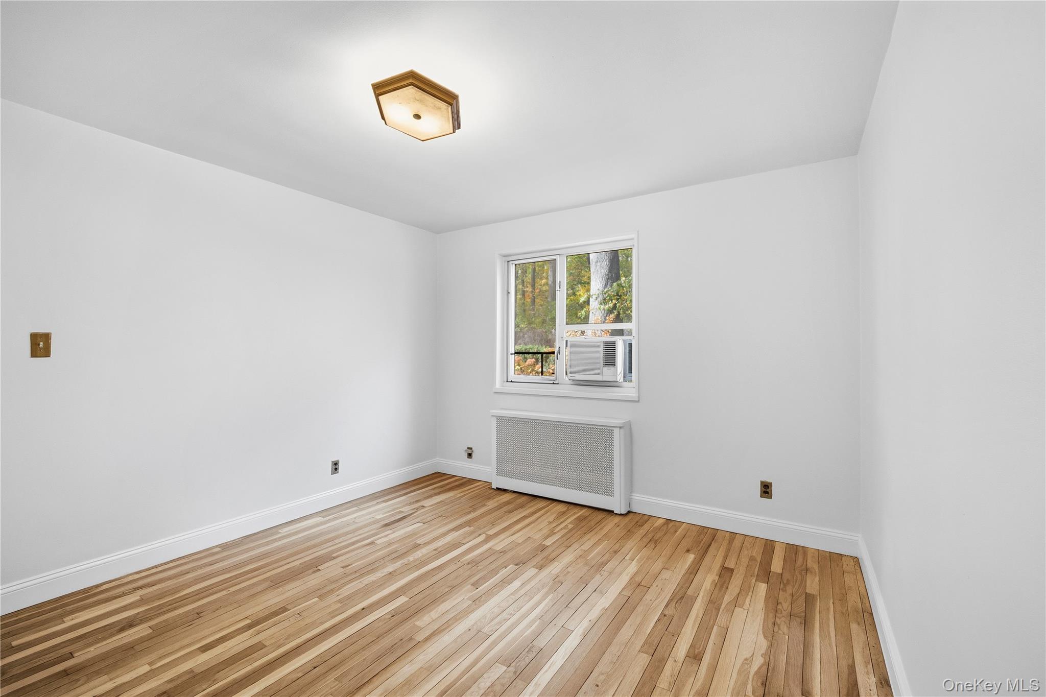 228-08 Stronghurst Avenue Unit Lower, Queens Village NY 11427