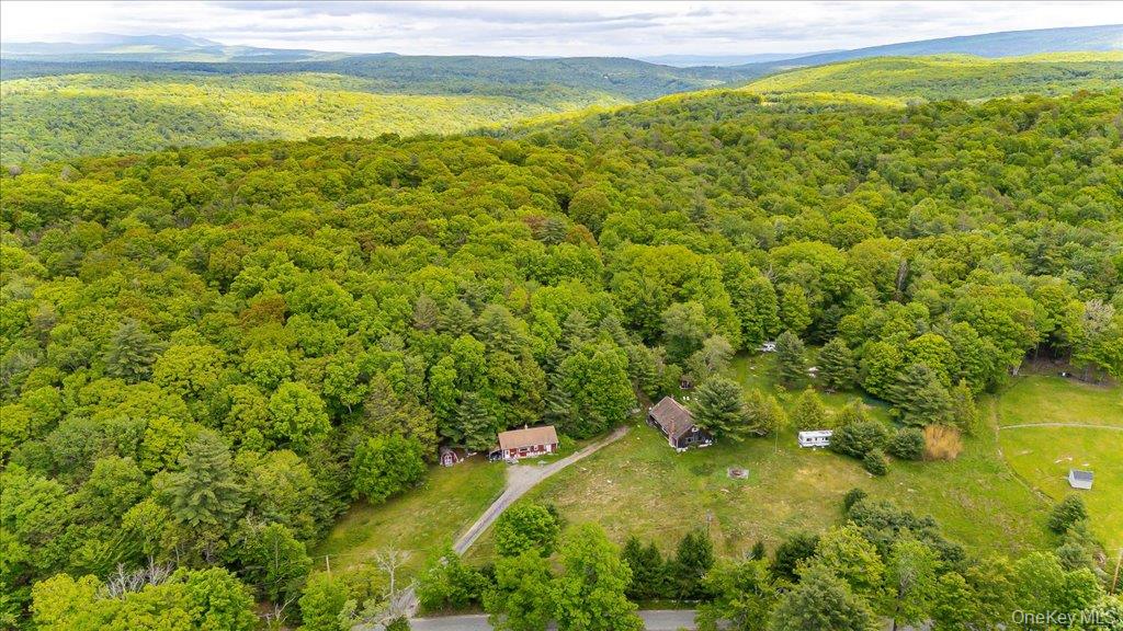 101 Red Star Road, Greenfield Park NY 12435