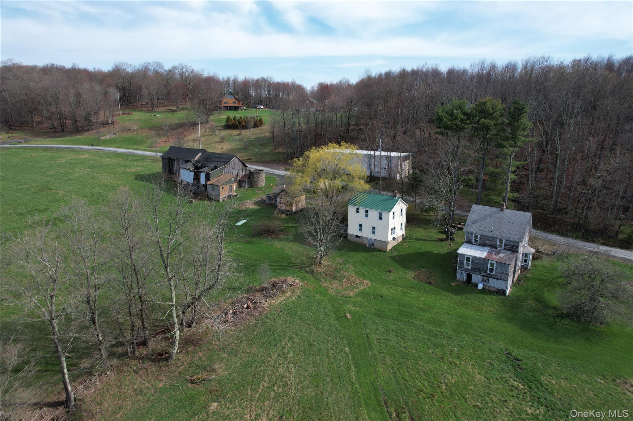 299-301 Stump Pond Road, Livingston Manor NY 12758