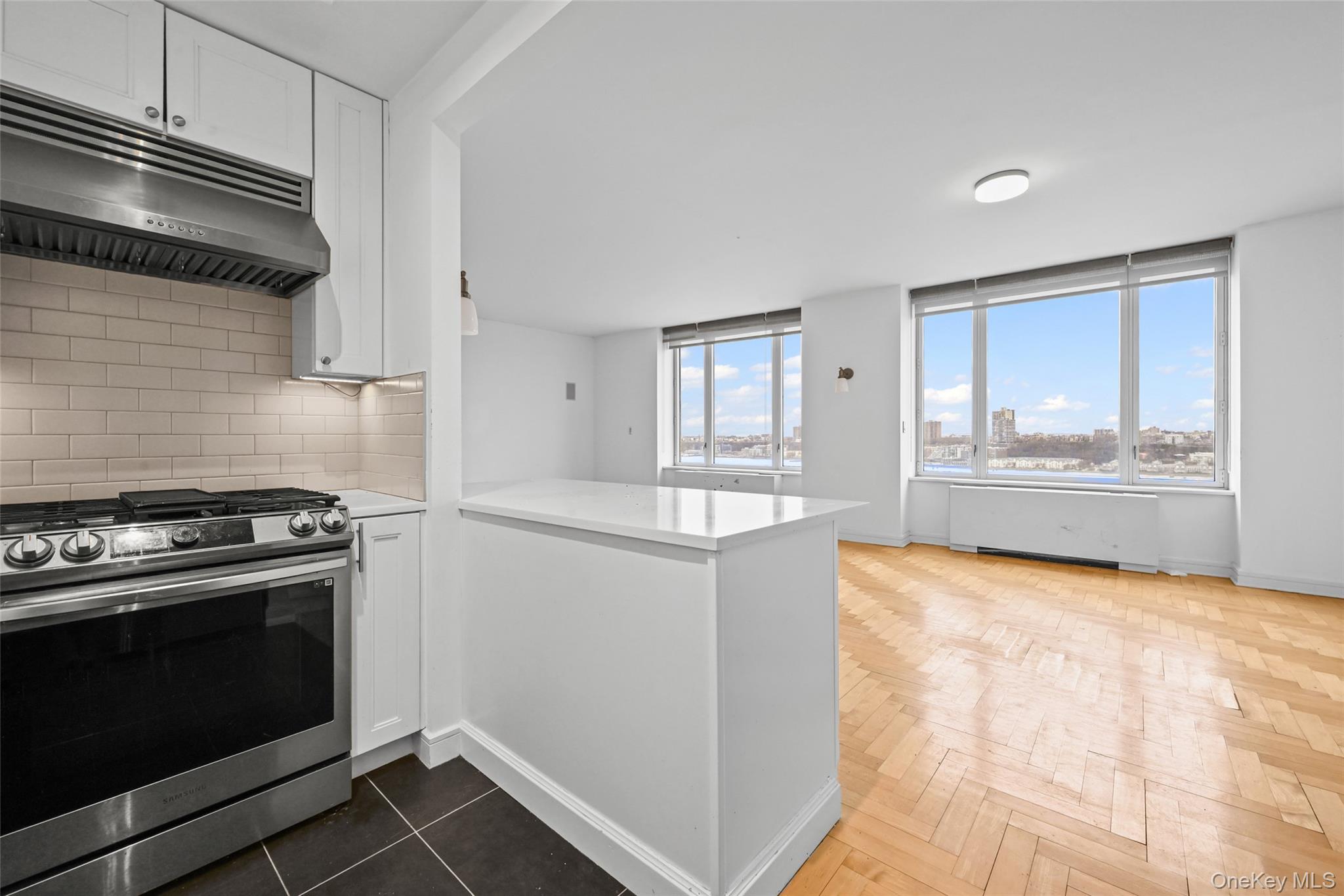 220 Riverside Boulevard Unit 19L, Manhattan NY 10069