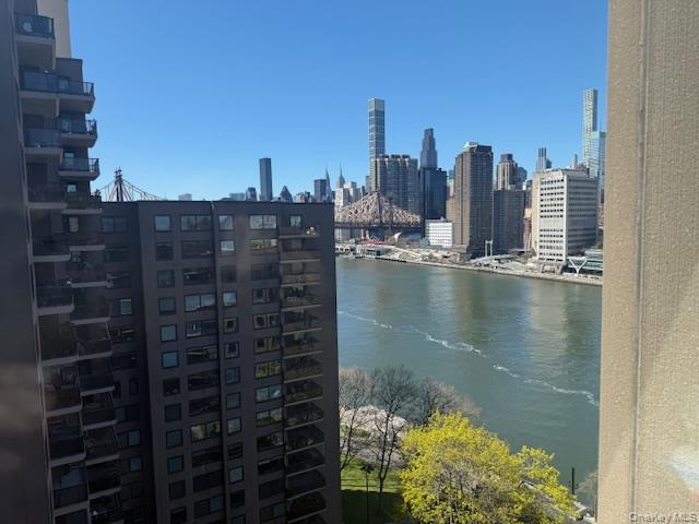 531 Main Street Unit 1511, Manhattan NY 10044