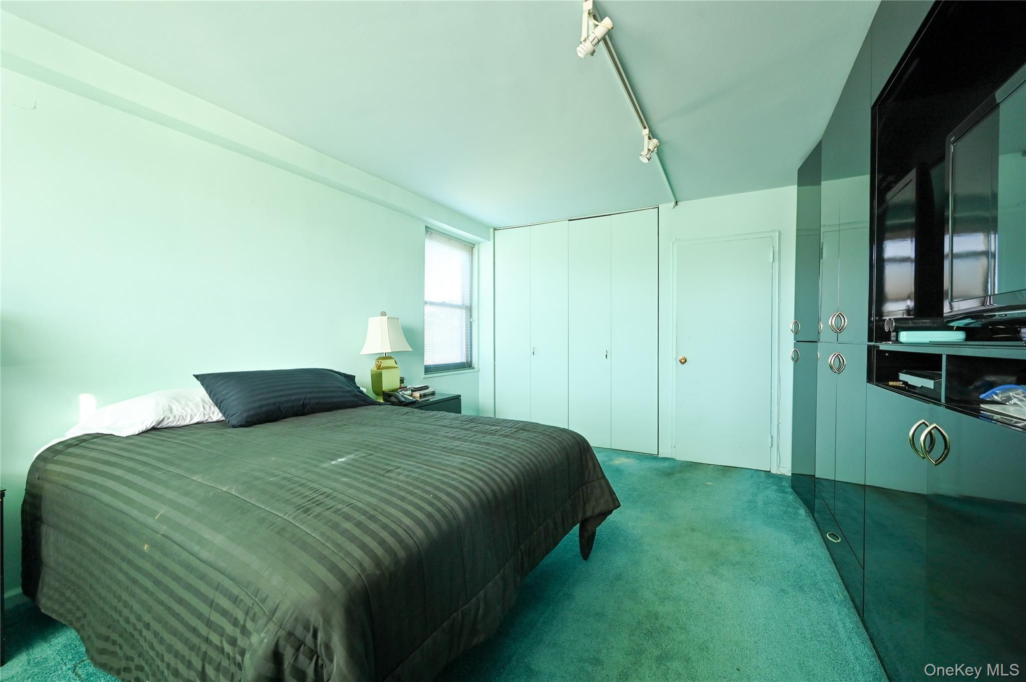 61-20 Grand Central Parkway Unit C 306, Forest Hills NY 11375