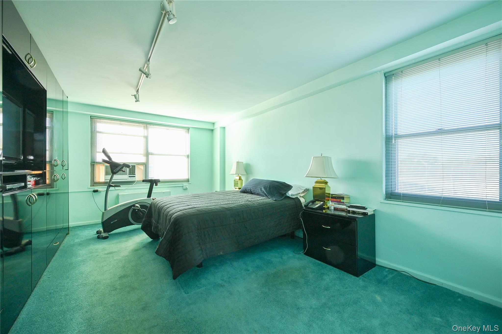 61-20 Grand Central Parkway Unit C 306, Forest Hills NY 11375