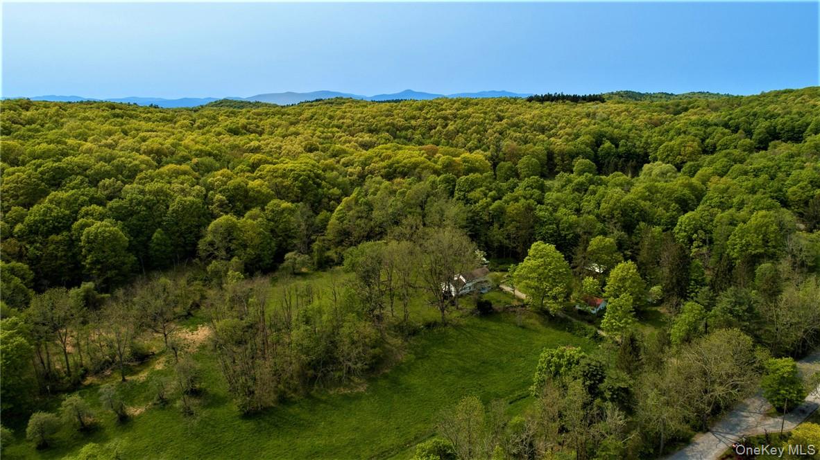 303 Hicks Hill Road, Stanfordville NY 12582