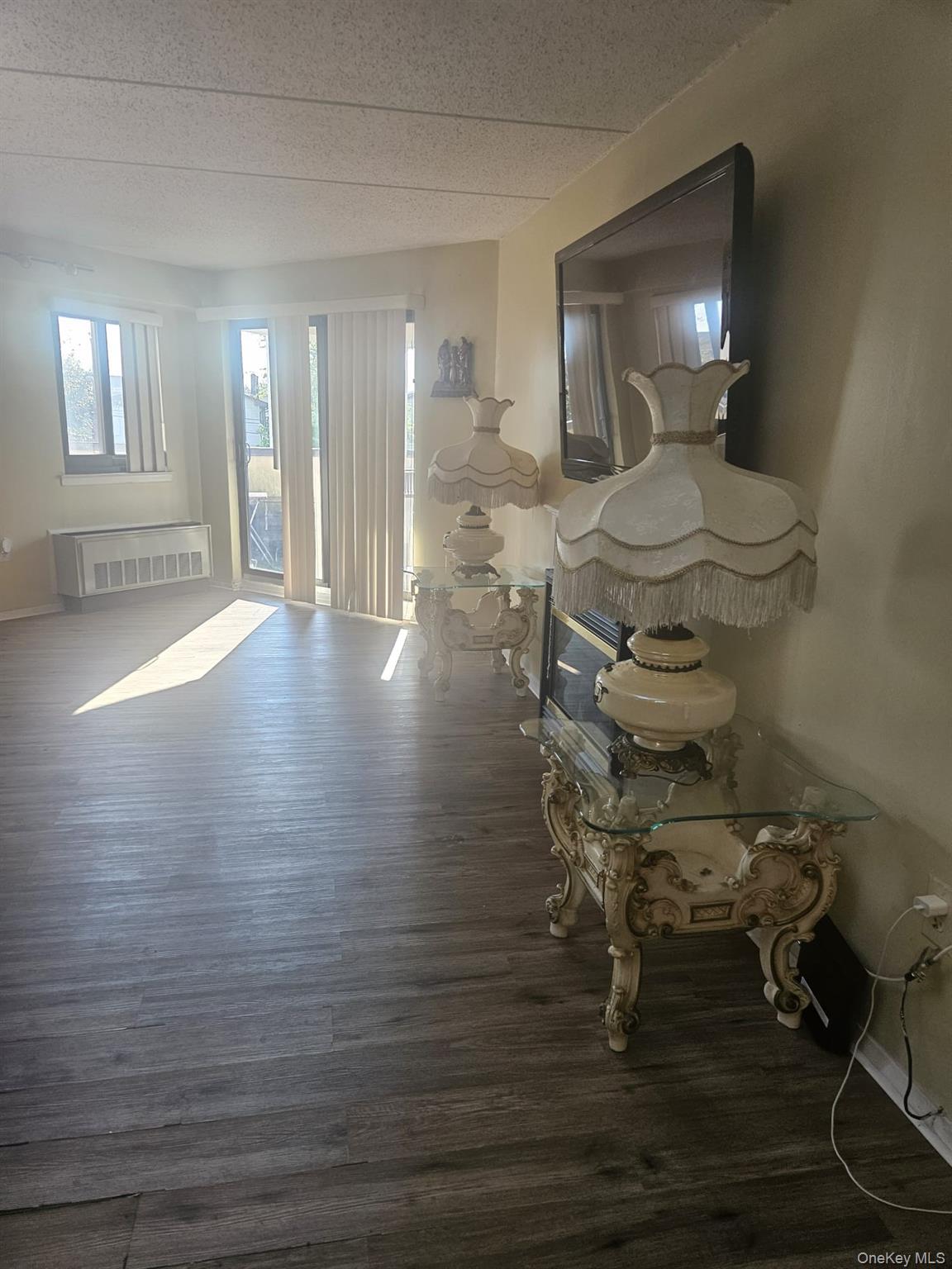 725 Miller Avenue Unit 221, Freeport NY 11520