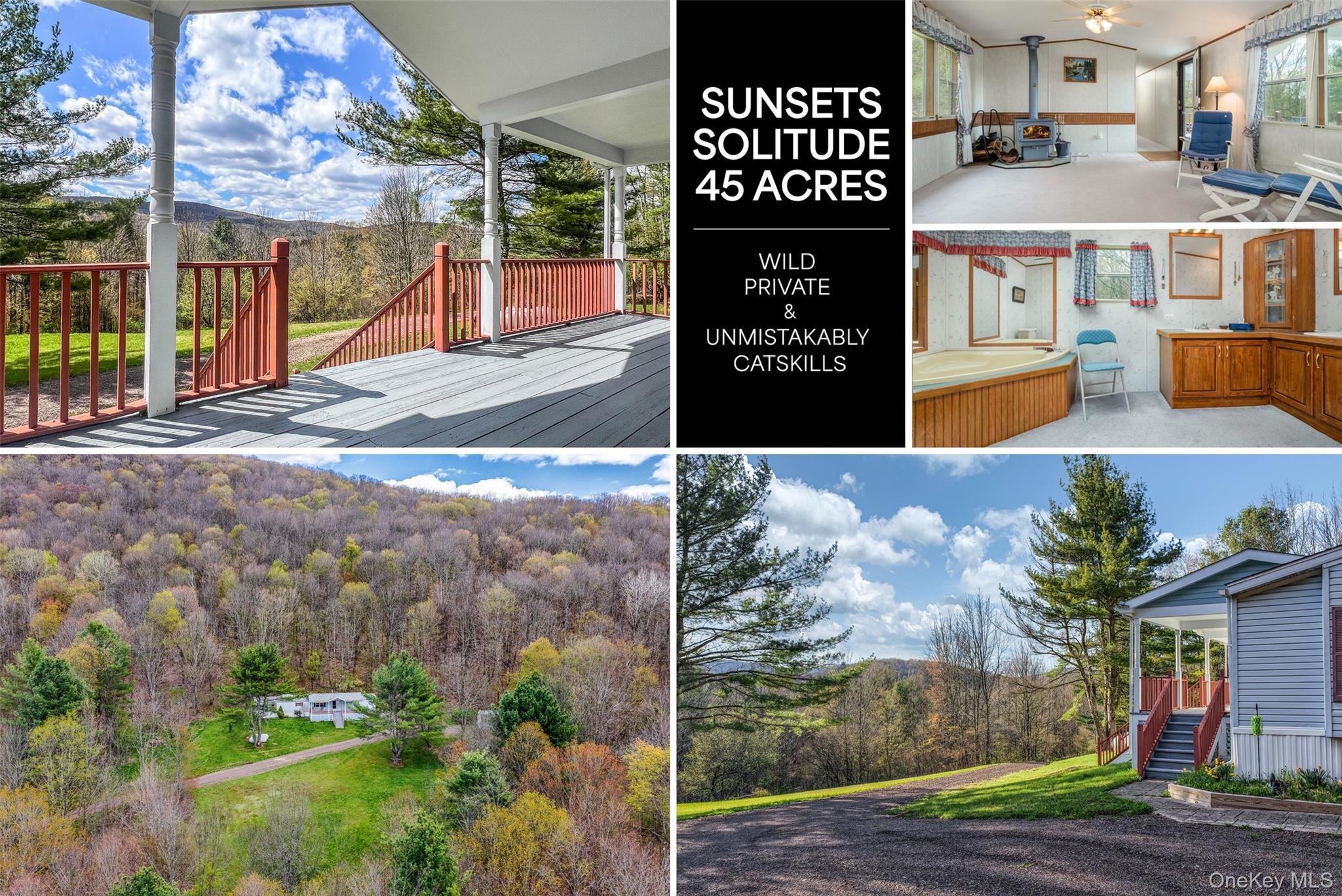 1264 Betty Brook Road, Call Listing Agent NY 13842
