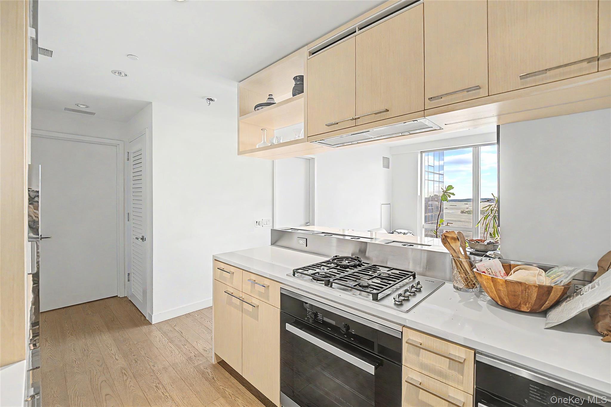 250 South Street Unit 50N, Manhattan NY 10002