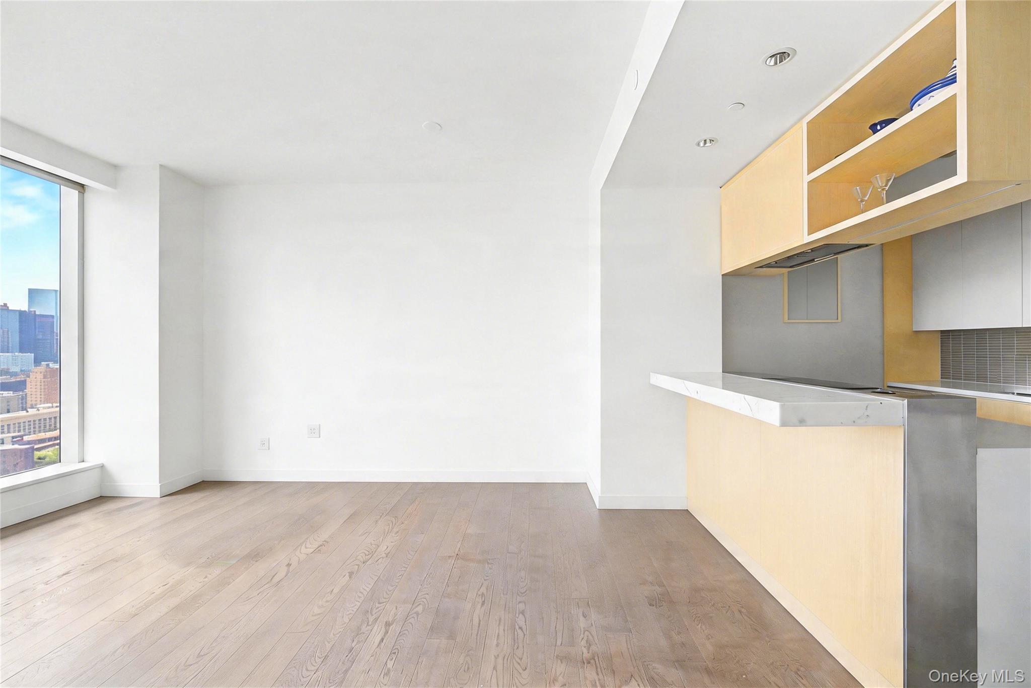 250 South Street Unit 50N, Manhattan NY 10002