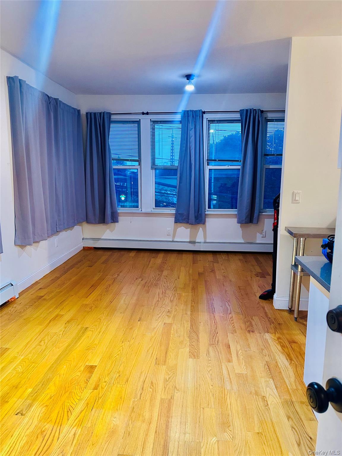 64-09 Woodside Avenue Unit 2 Family Frame, Woodside NY 11377