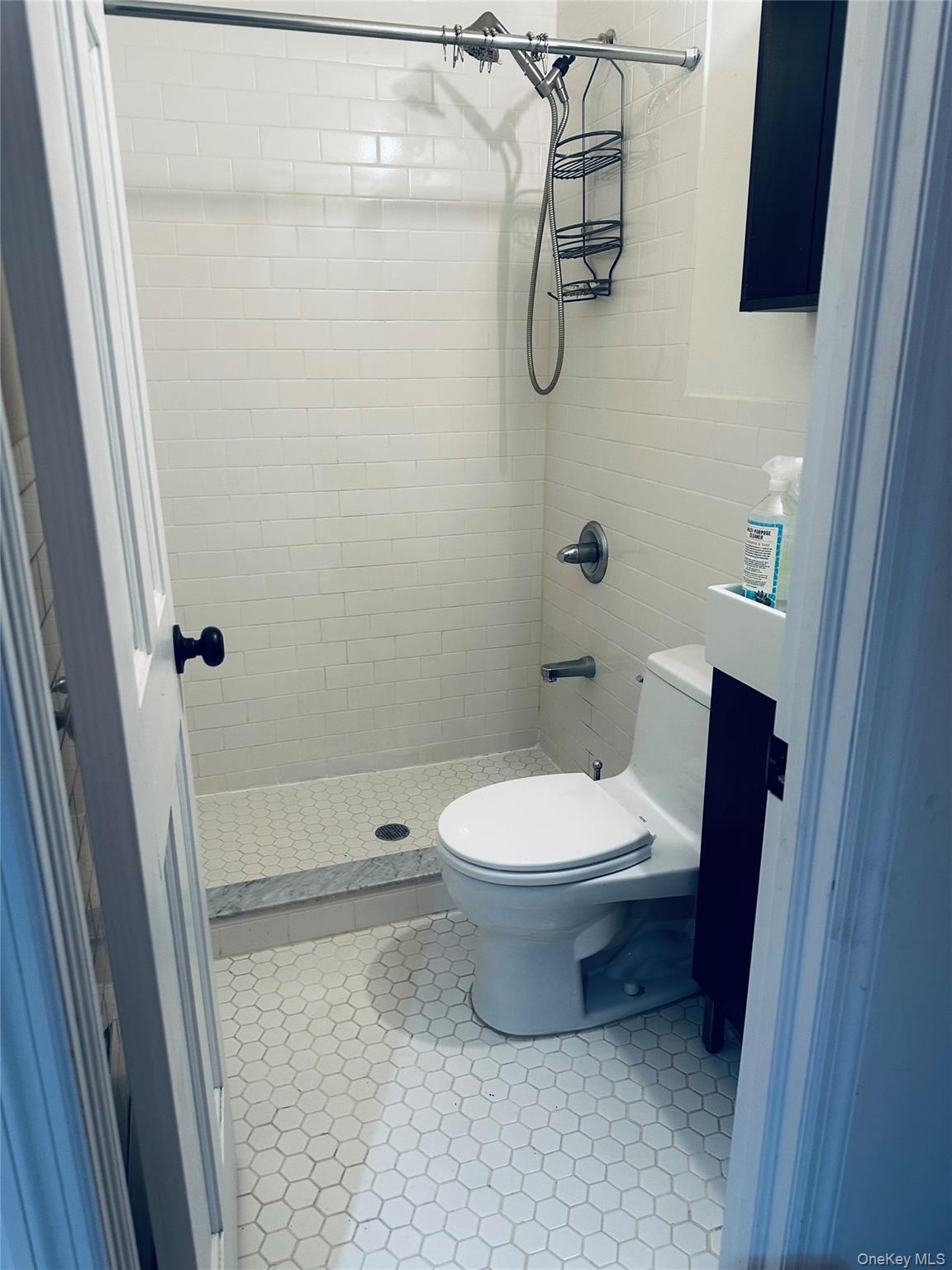 64-09 Woodside Avenue Unit 2 Family Frame, Woodside NY 11377