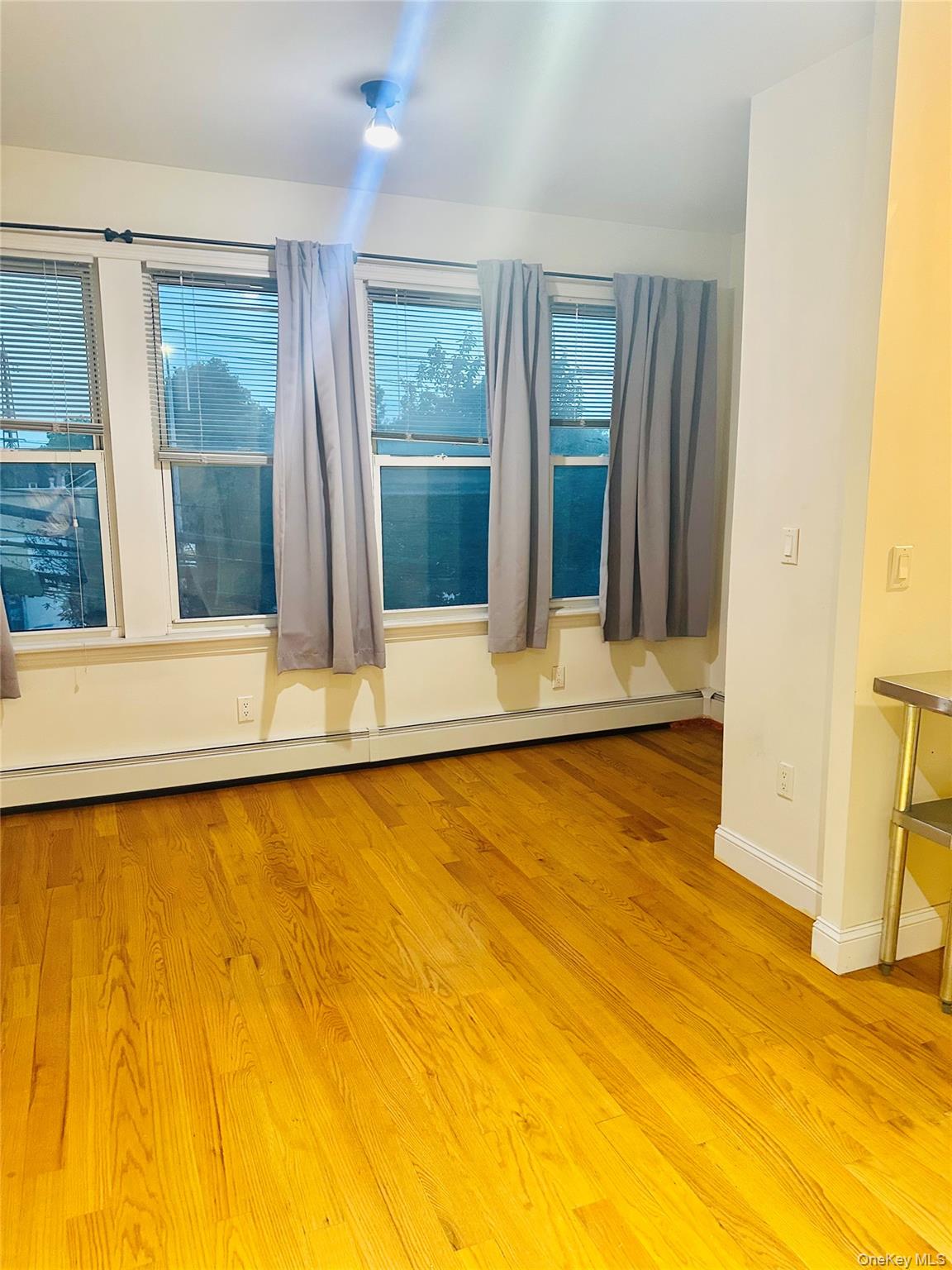 64-09 Woodside Avenue Unit 2 Family Frame, Woodside NY 11377