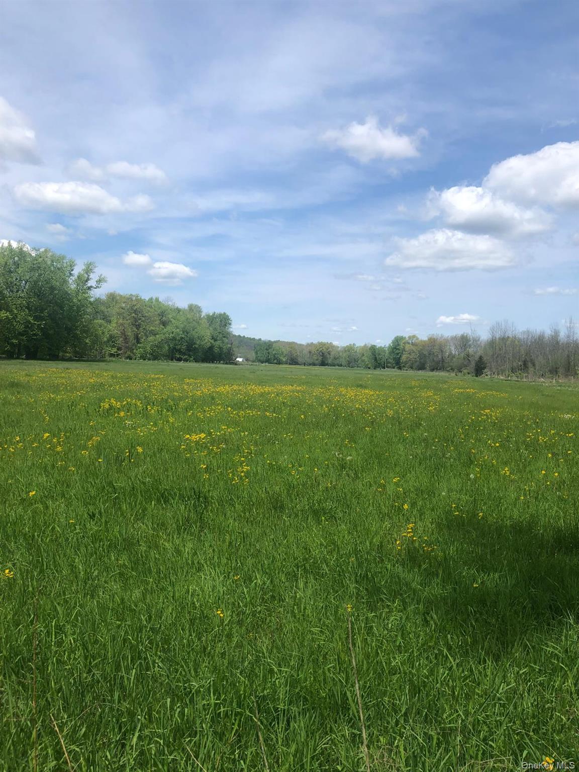 65 Juliet Drive, Warwick NY 10990