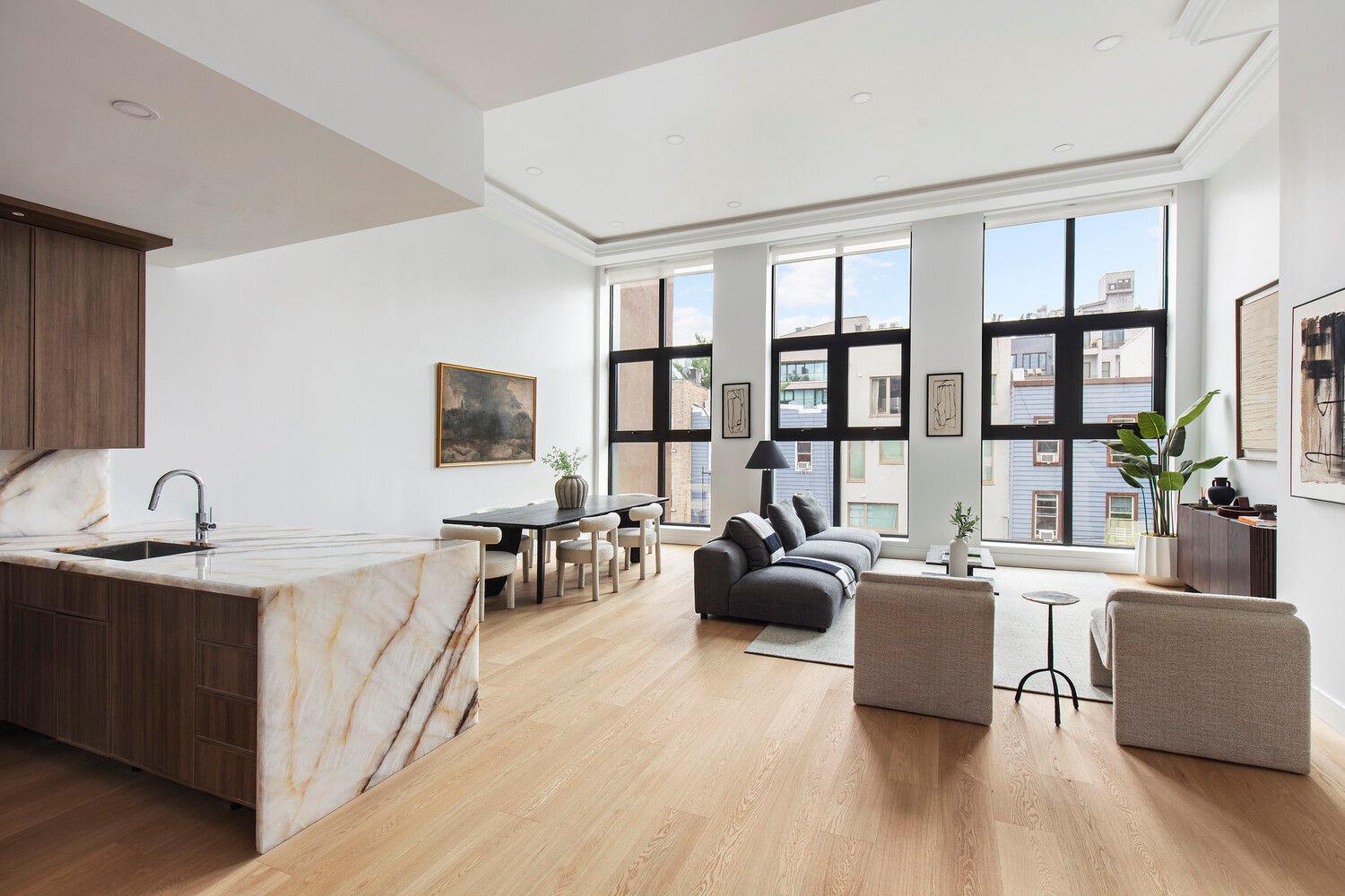151 FREEMAN Street Unit PHB, Brooklyn NY 11222