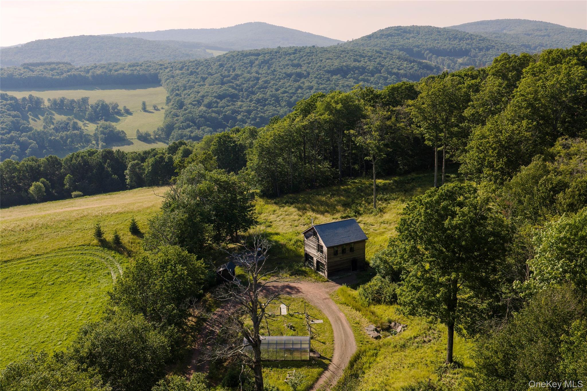 377 Reinertsen Hill Road, Bovina Center NY 13740