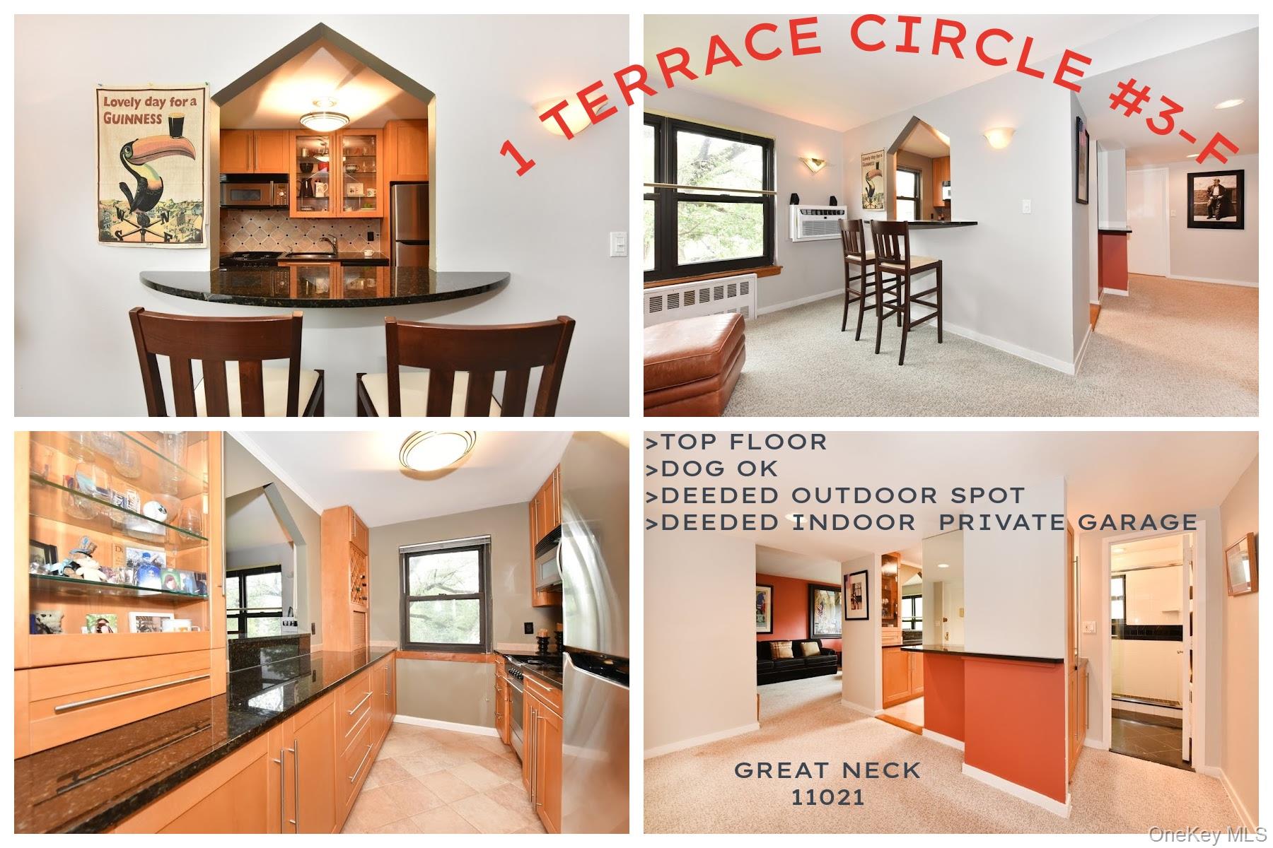 1 TERRACE Circle Unit 3-F, Great Neck NY 11021