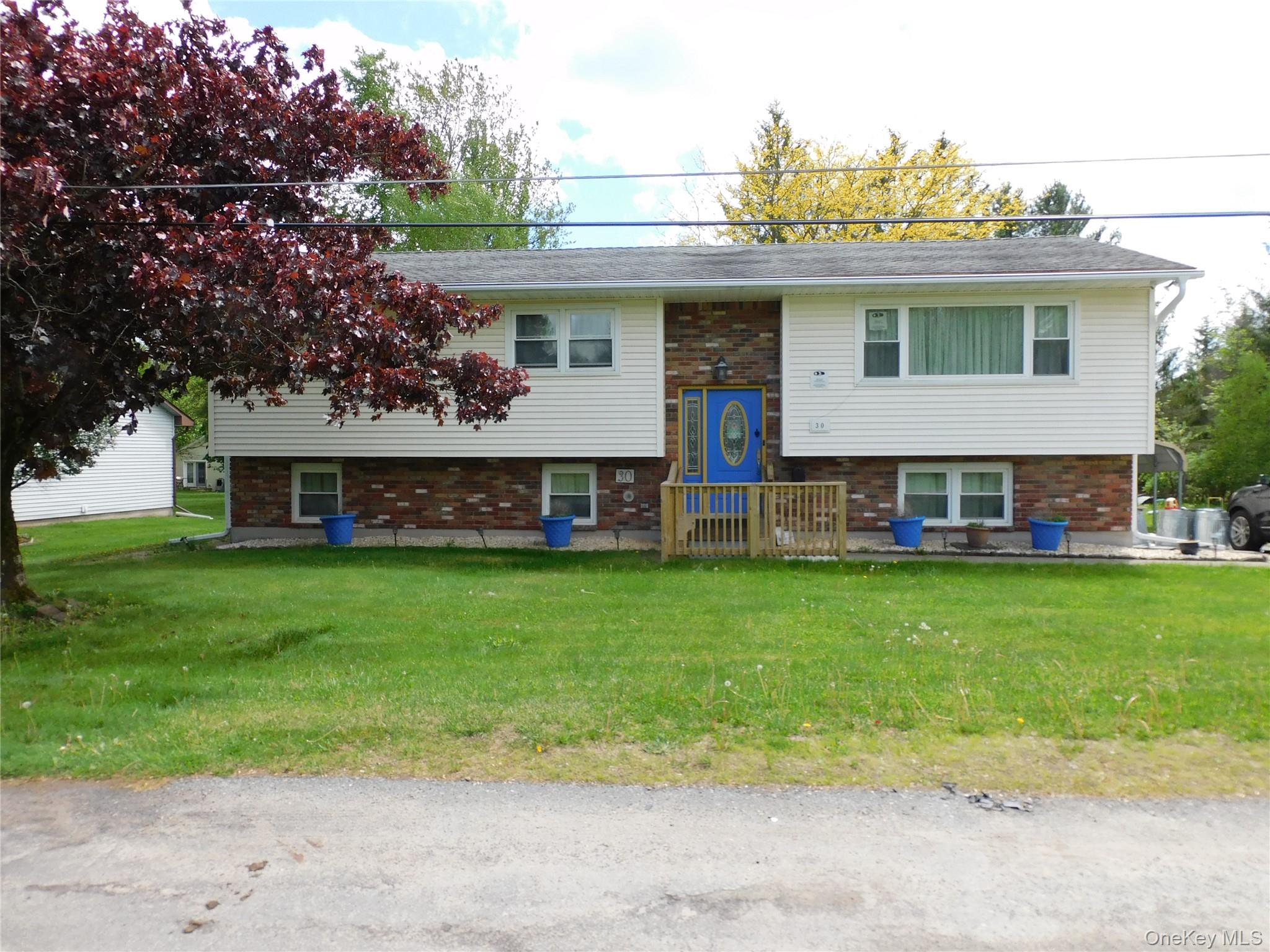 30 Kelly Avenue, Liberty NY 12754