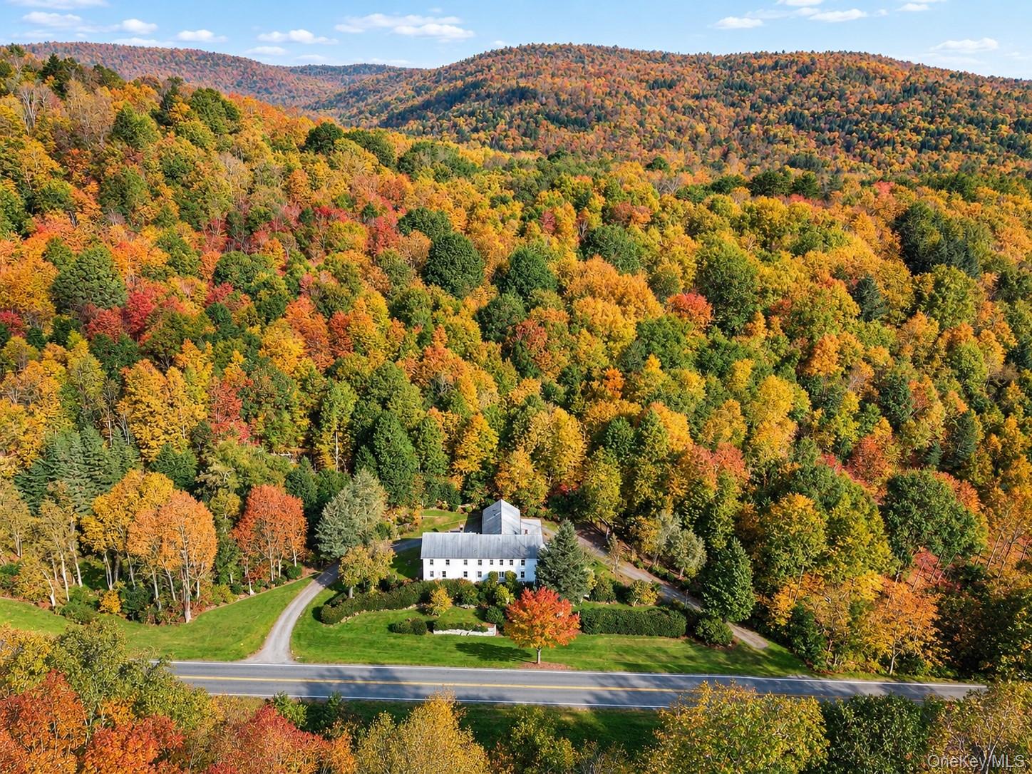 2182 Old Road 17, Roscoe NY 12776