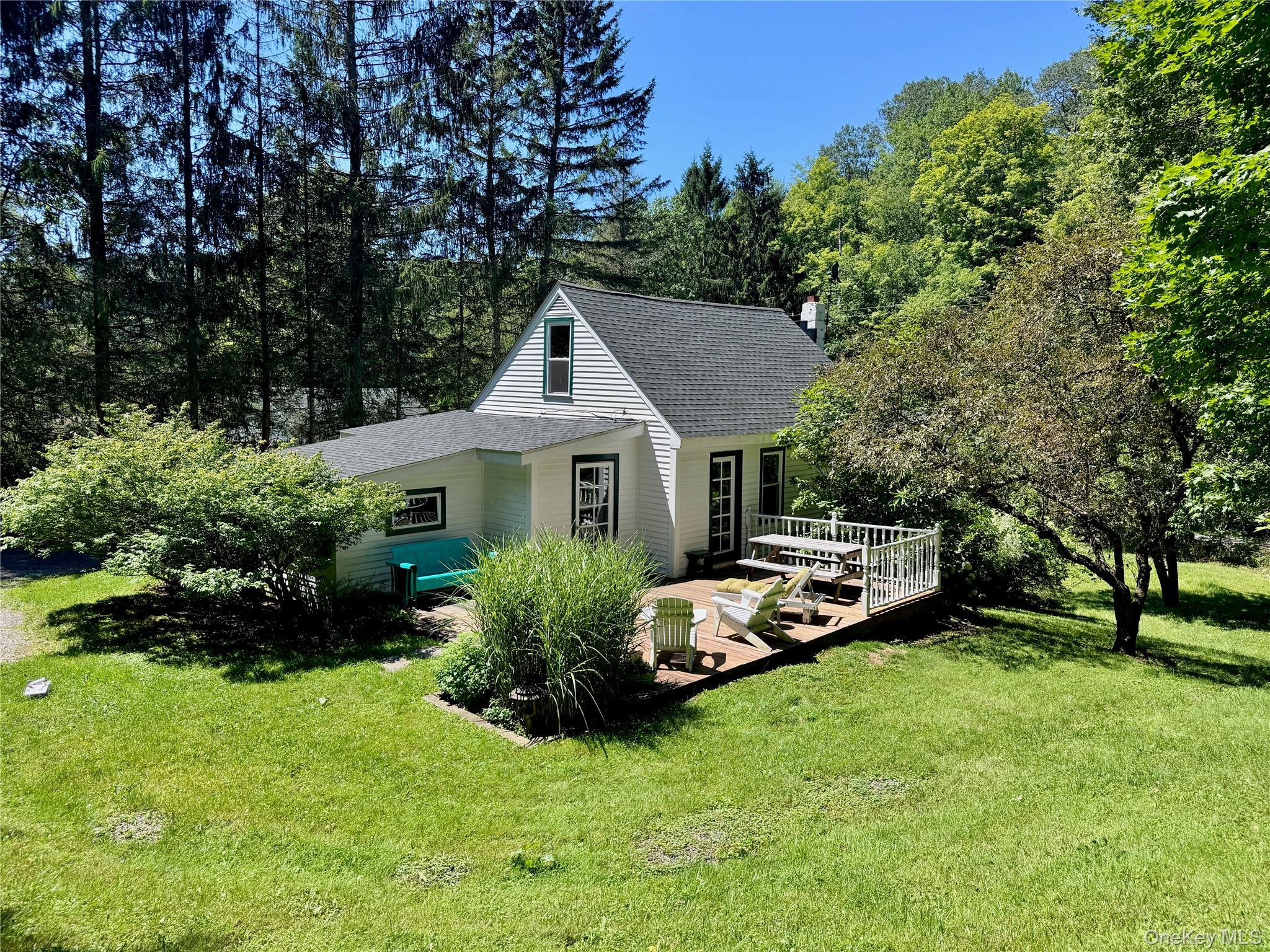60 Alder Creek Road, Livingston Manor NY 12758