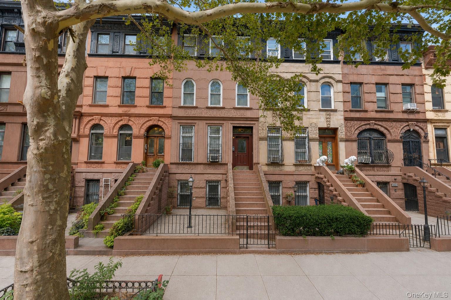 393 Park Place, Brooklyn NY 11238
