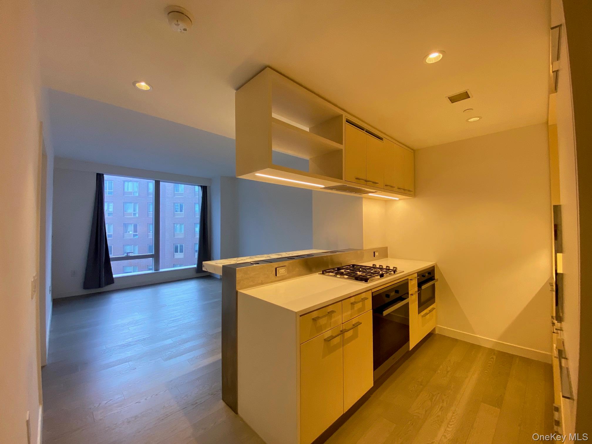 252 South Street Unit 12G, Manhattan NY 10002