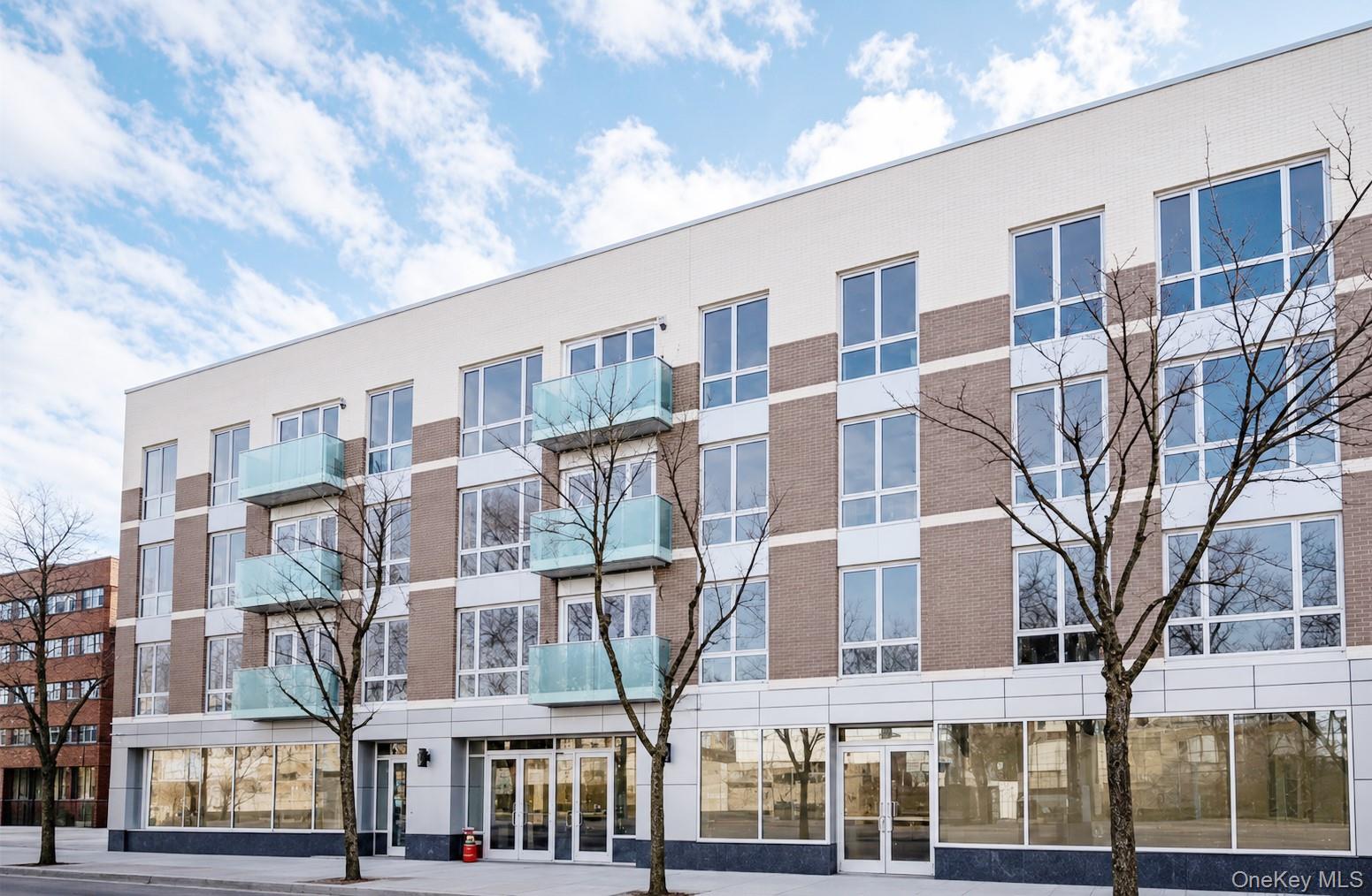 15815 Union Turnpike Unit 402N, Fresh Meadows NY 11366