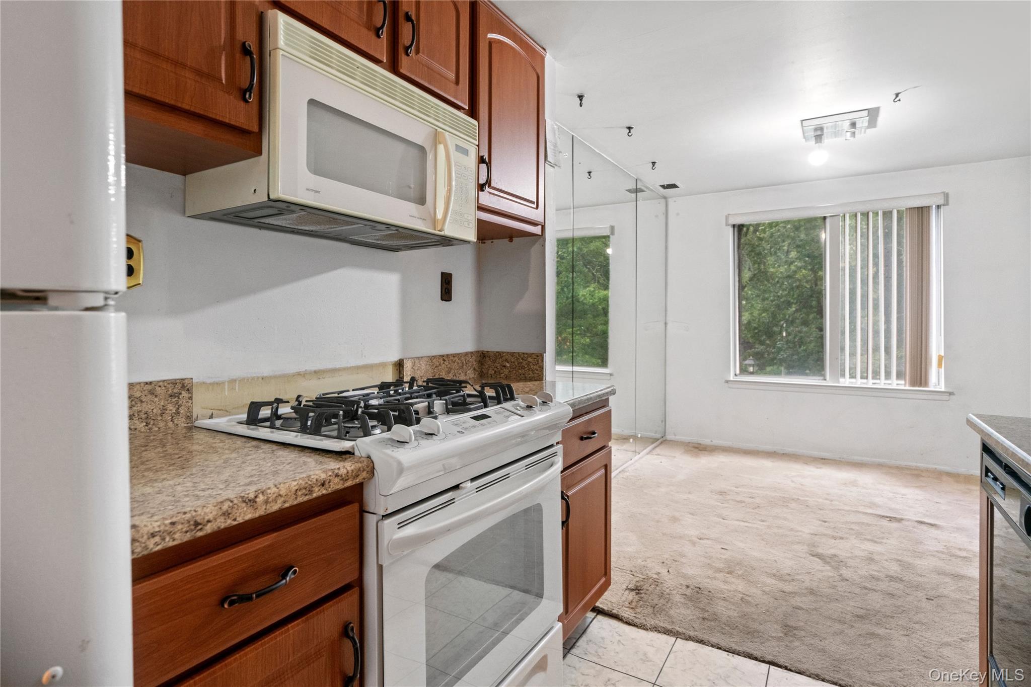 221 Sagamore Hills Drive Unit 221, Port Jefferson Station NY 11776