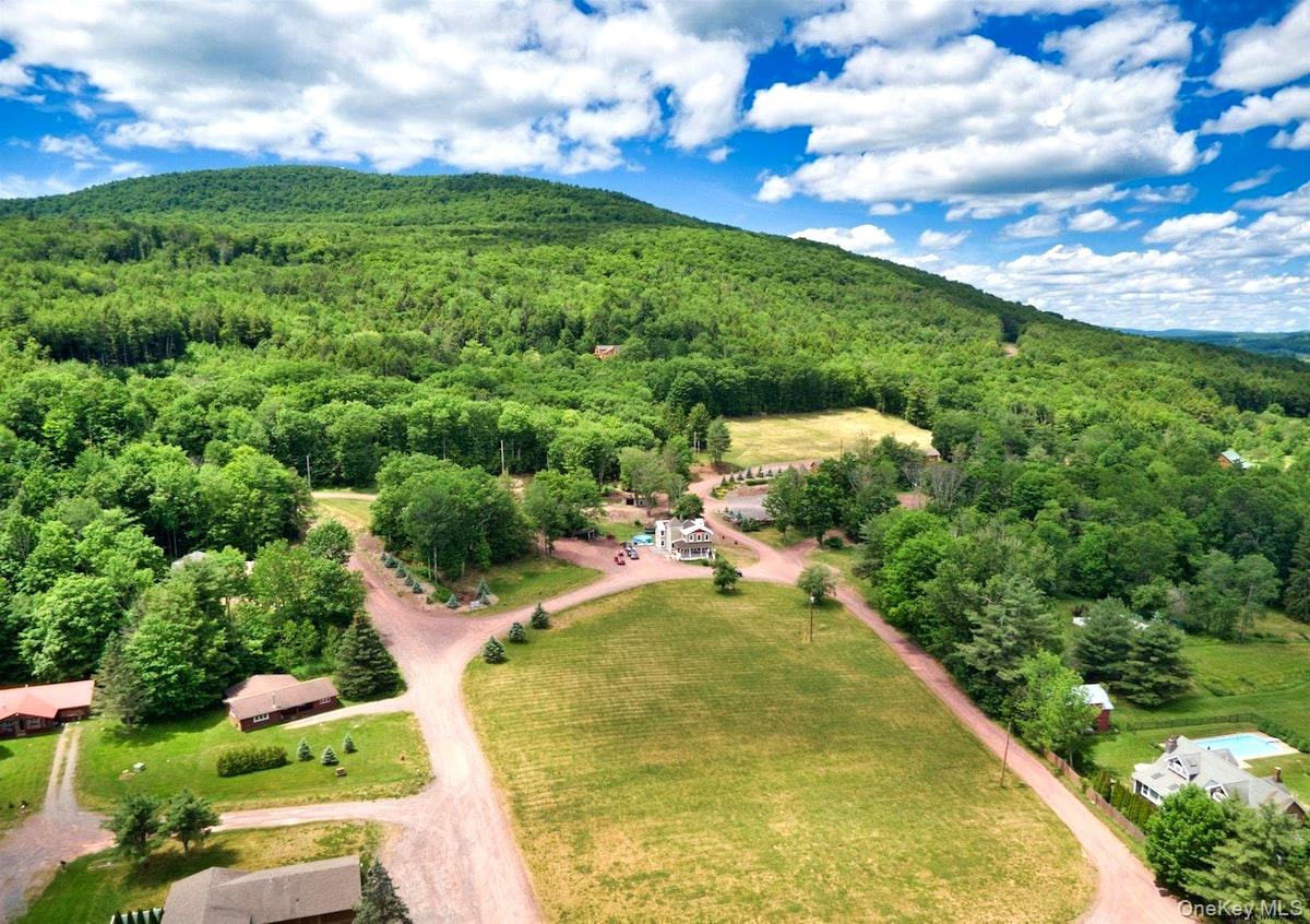 226 State Route 296, Windham NY 12496
