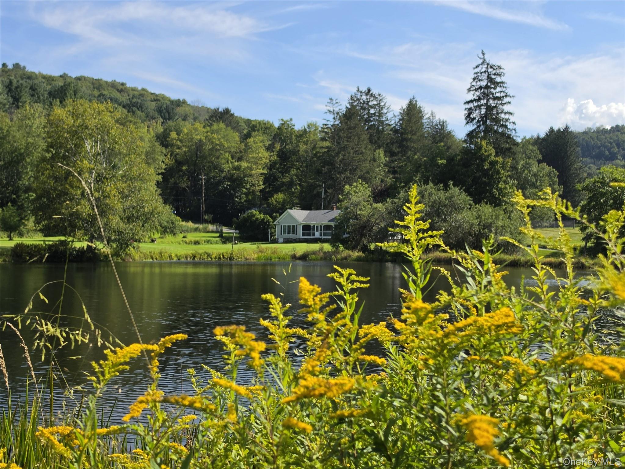 600 Jeffersonville North Branch Road, North Branch NY 12766