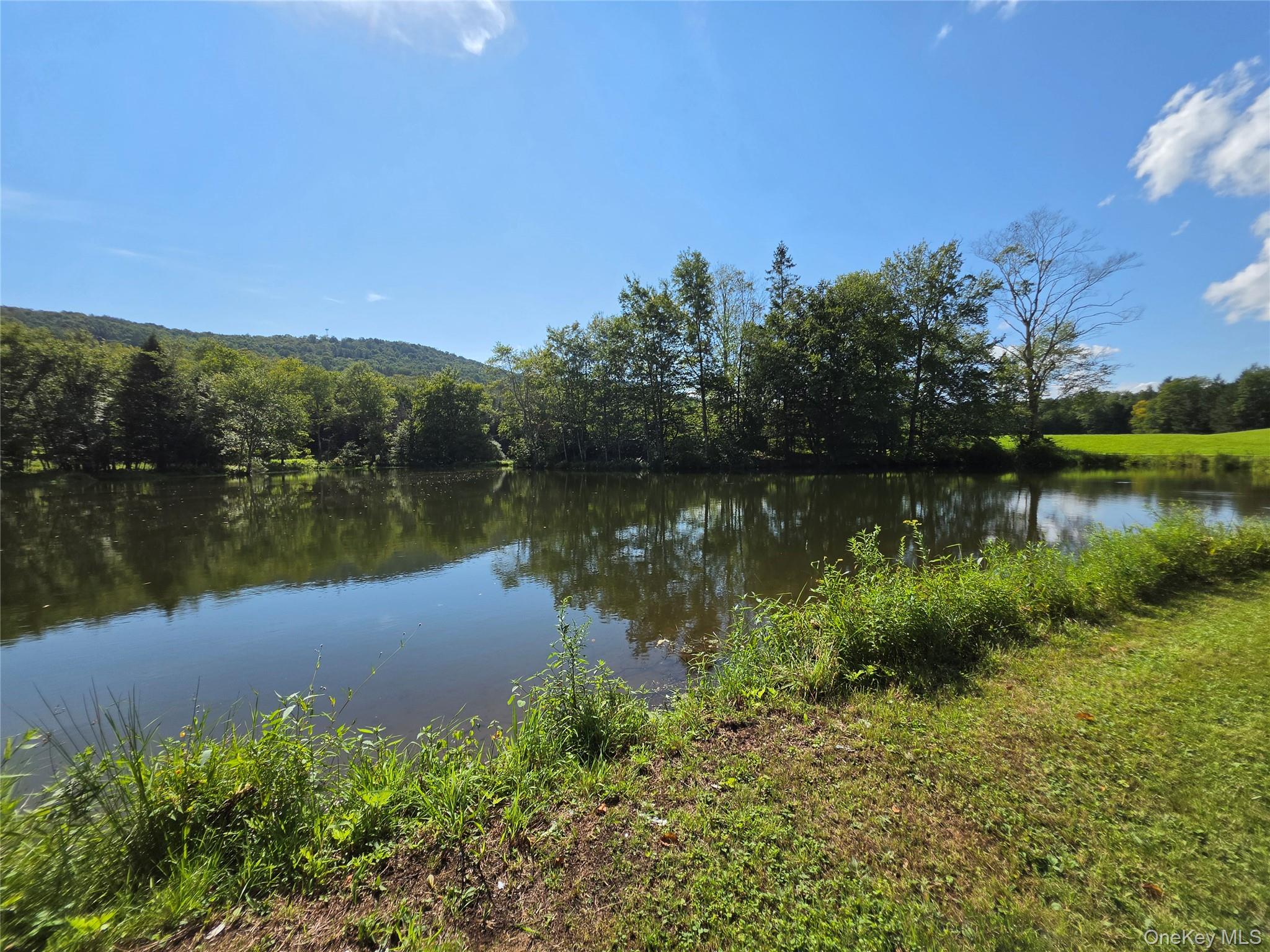 600 Jeffersonville North Branch Road, North Branch NY 12766