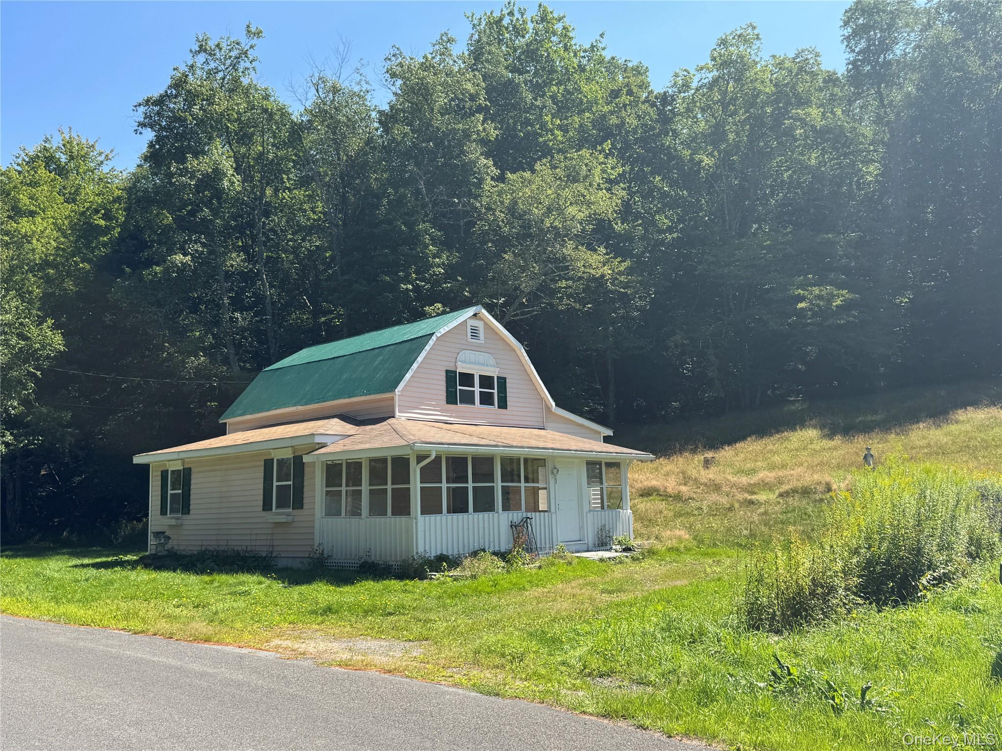 31 Willowemoc Road, Livingston Manor NY 12758