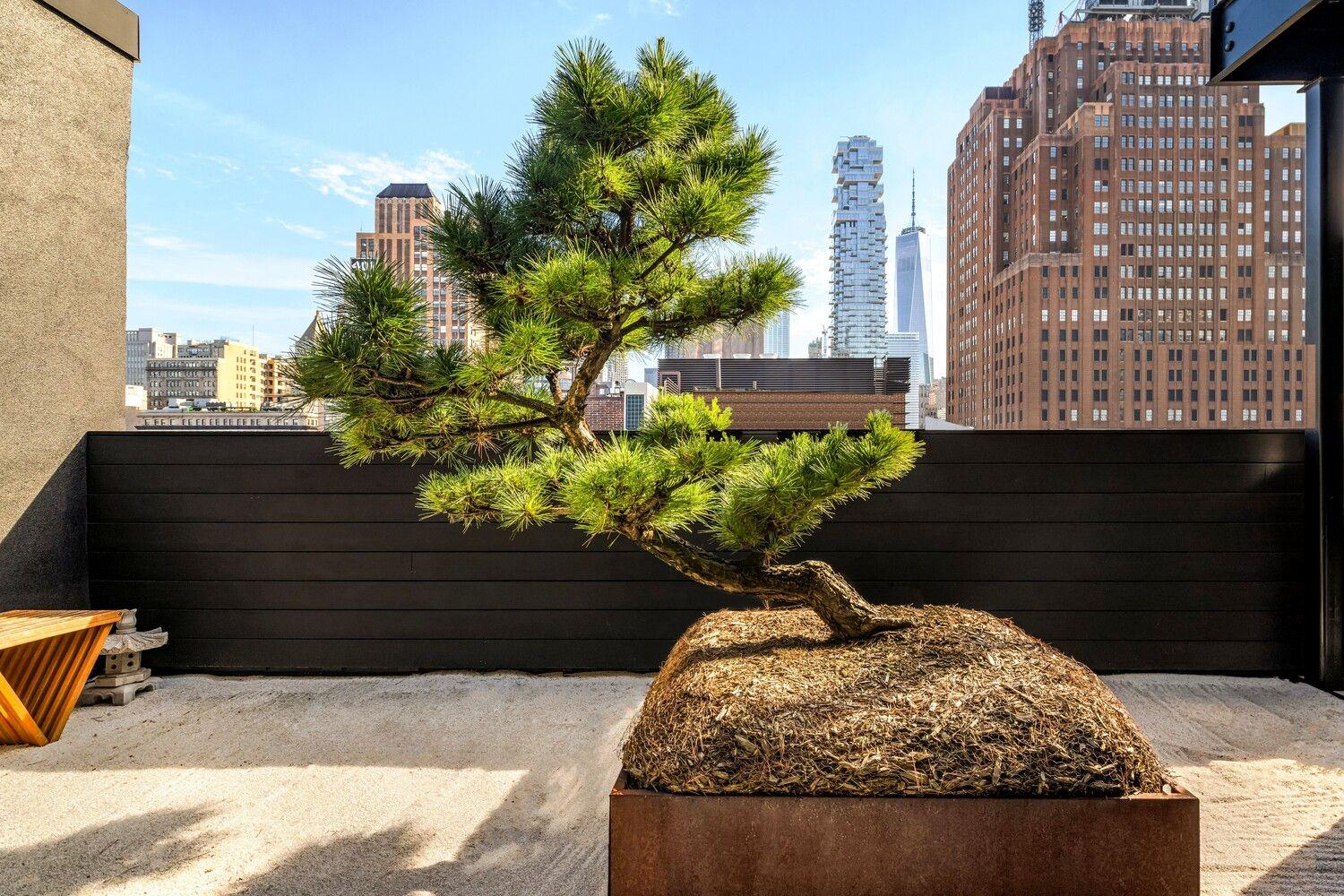 20 GREENE Street Unit PENTHOUSE, Manhattan NY 10013