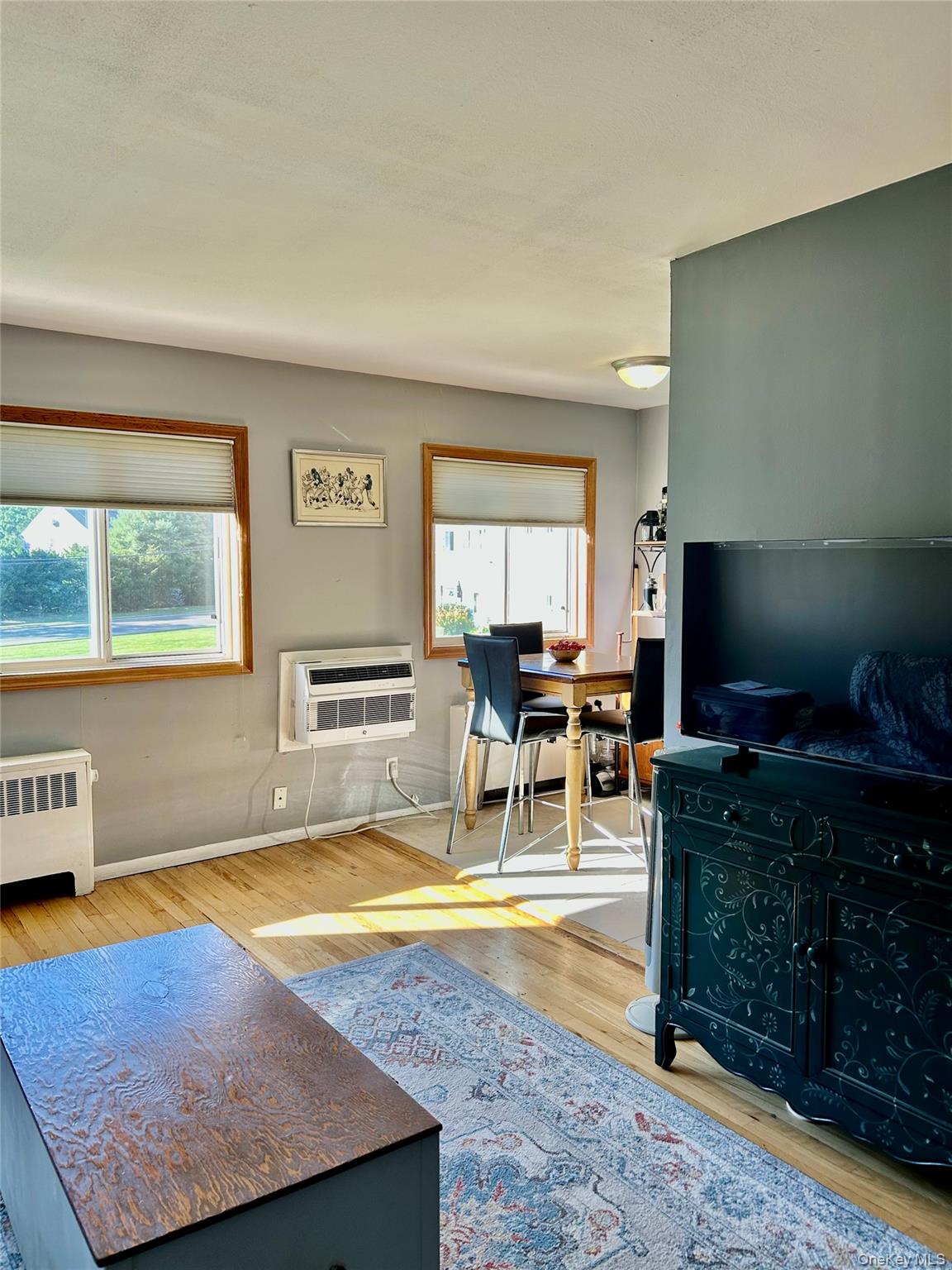 355 Route 111 Unit #30 Route 111 Unit 30, Smithtown NY 11787