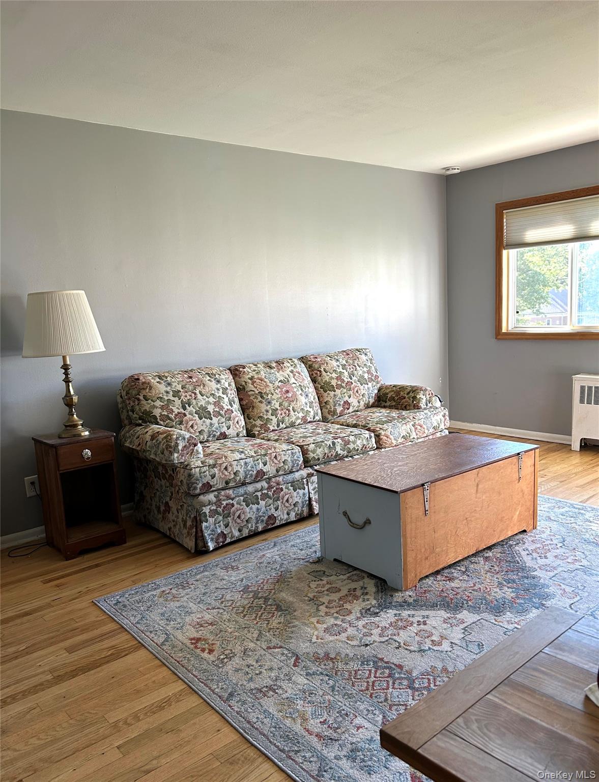 355 Route 111 Unit #30 Route 111 Unit 30, Smithtown NY 11787