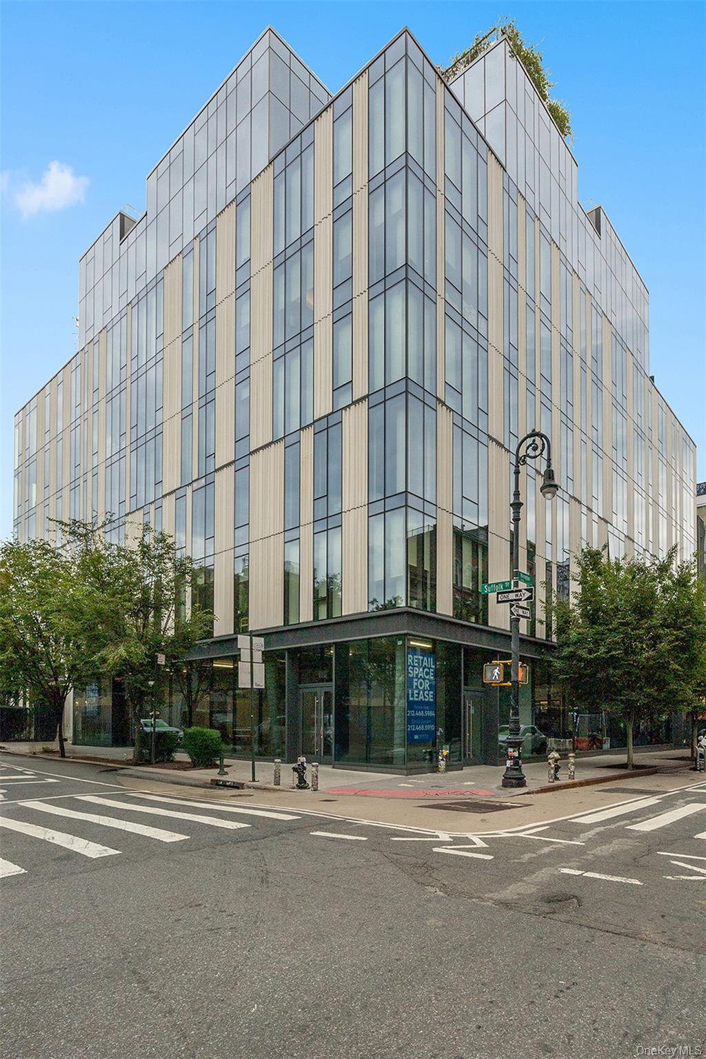 150 Rivington Street Unit 4B, Manhattan NY 10002