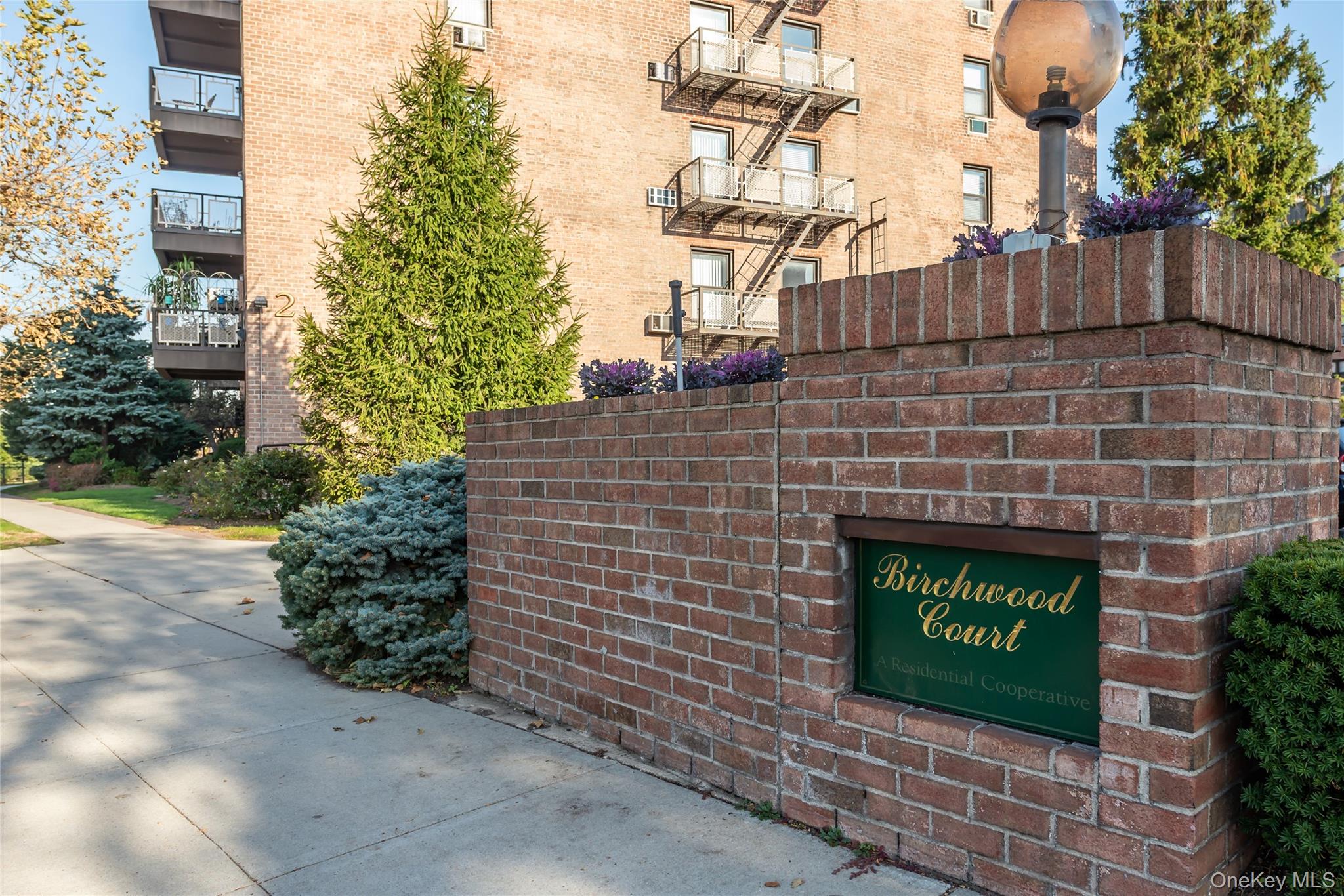 5 Birchwood Court Unit 2-0, Mineola NY 11501
