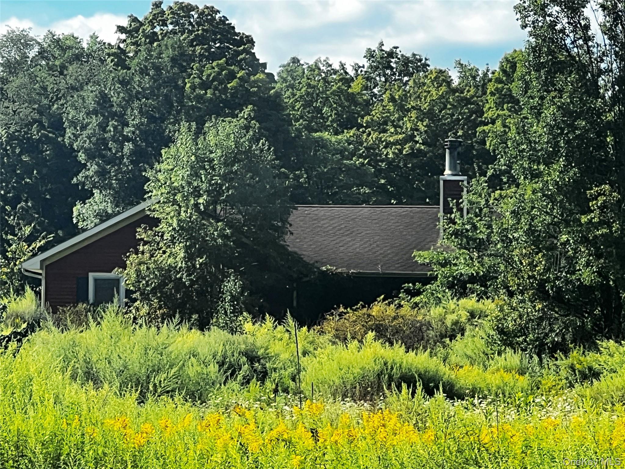 907 Scotchtown Collabar Road, Middletown NY 10941