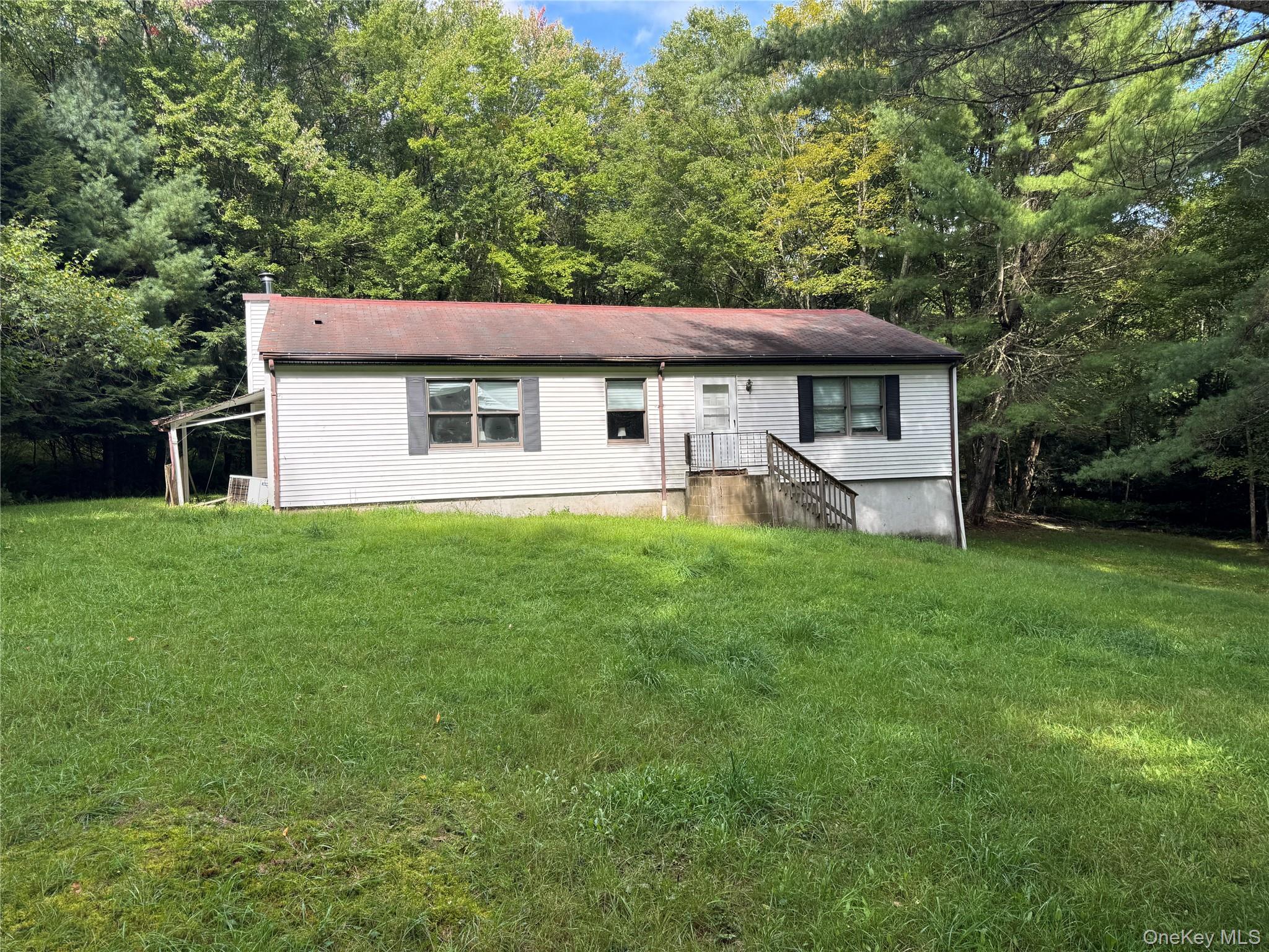 155 Blanchard Road, Swan Lake NY 12783