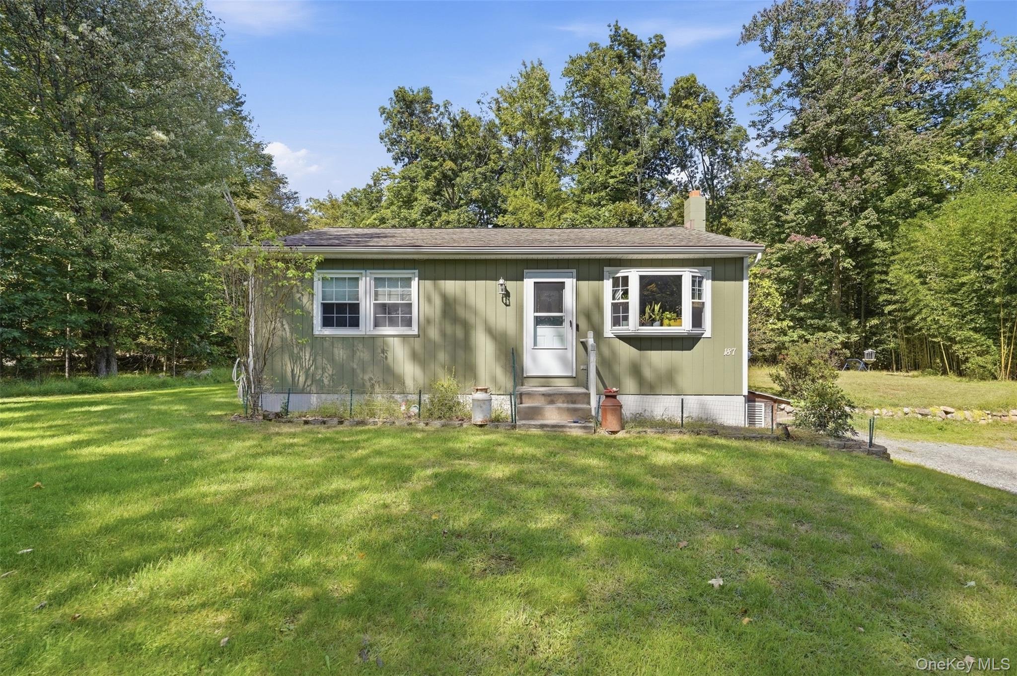 187 Birchwood Drive, Pine Bush NY 12566